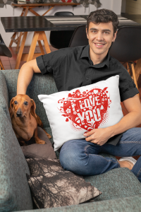 mockup-of-a-man-holding-a-pillow-while-petting-a-dog-30679 (2)